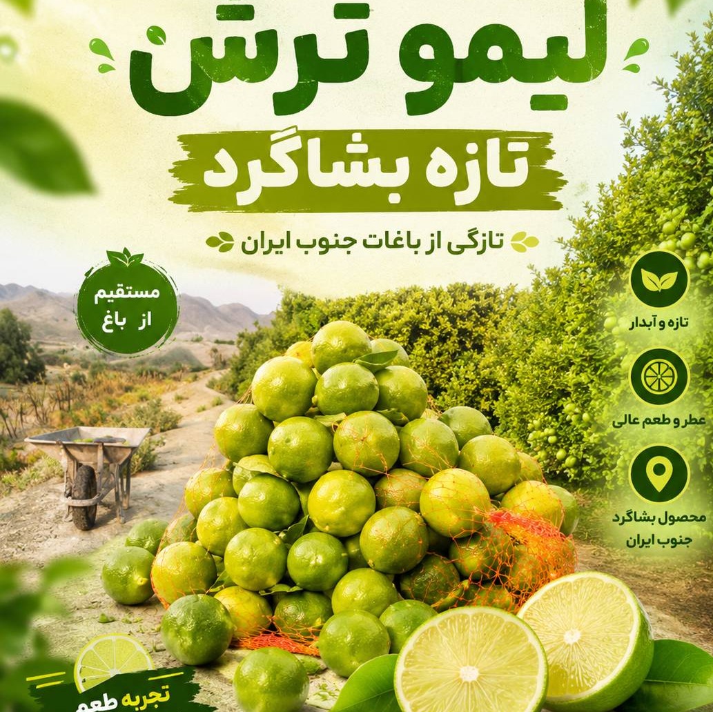 لیمو ترش ارگانیک بشاگرد