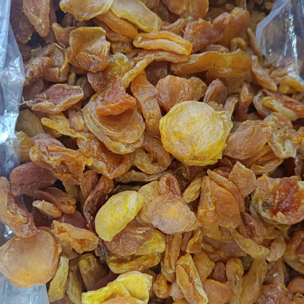 برگه زردآلو افتابی امسالی