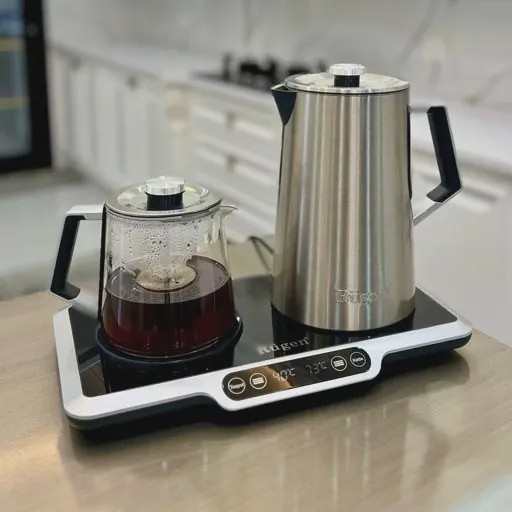 چایساز روگن مدل 1525