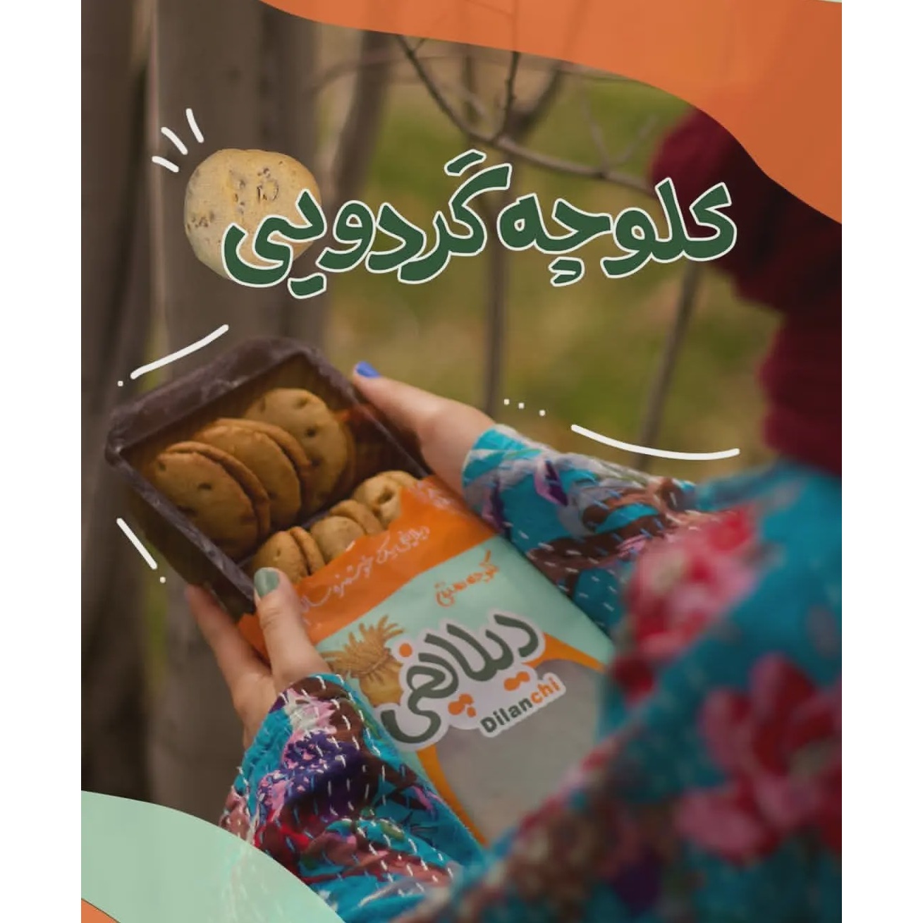 کلوچه گردویی طبیعی دیلانچی ارگانیک