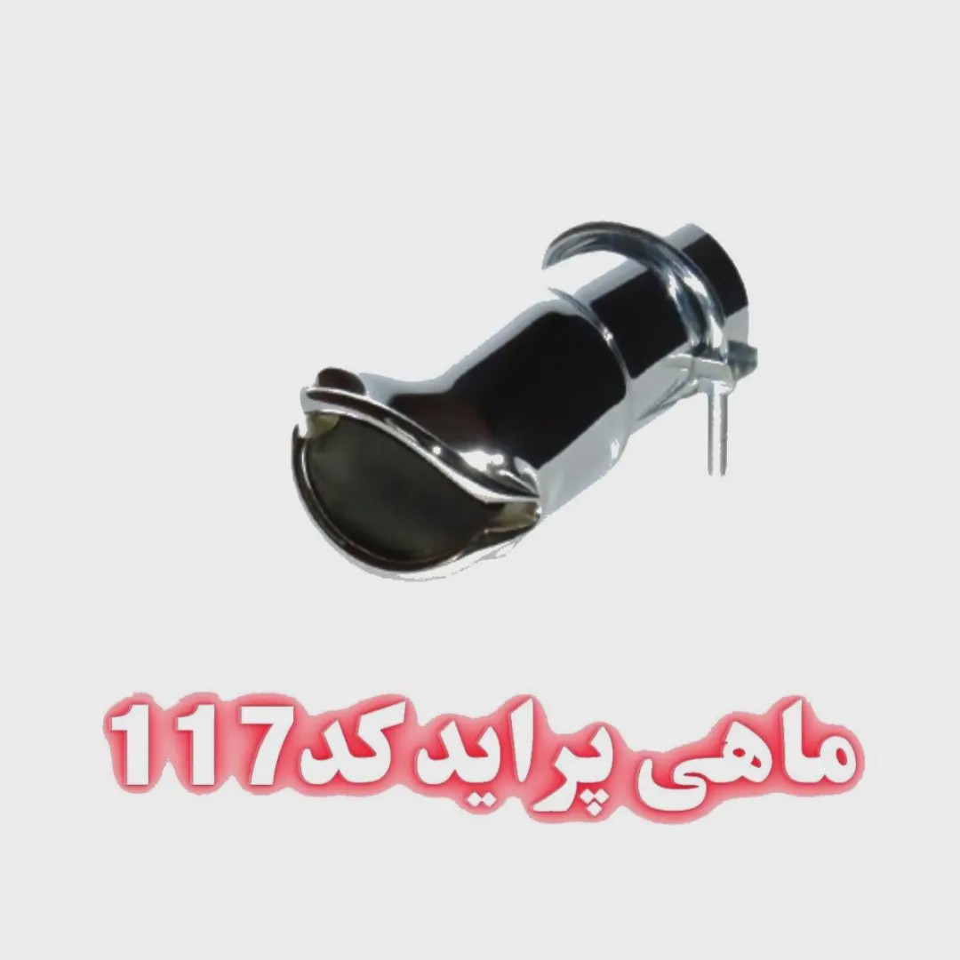 سر اگزوز ماهی پراید