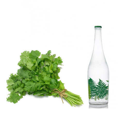 عرق گشنیز