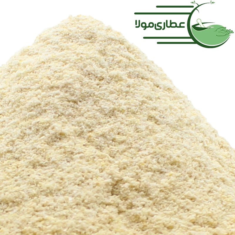 پودر سیر