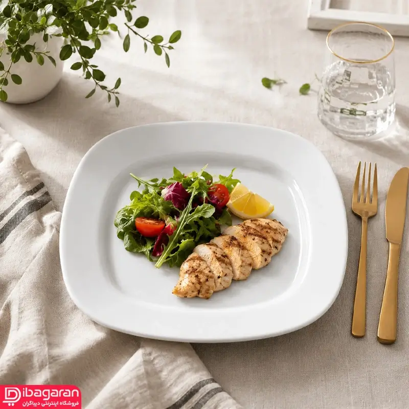 بشقاب تخت چینی زرین مدل هتلی 49 مربع سایز 25