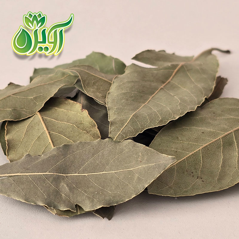 برگ بو