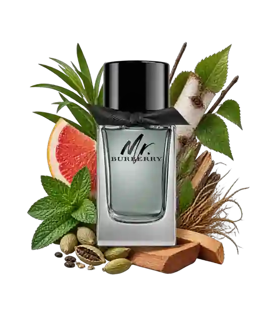 مستر باربری | Burberry Mr. Burberry