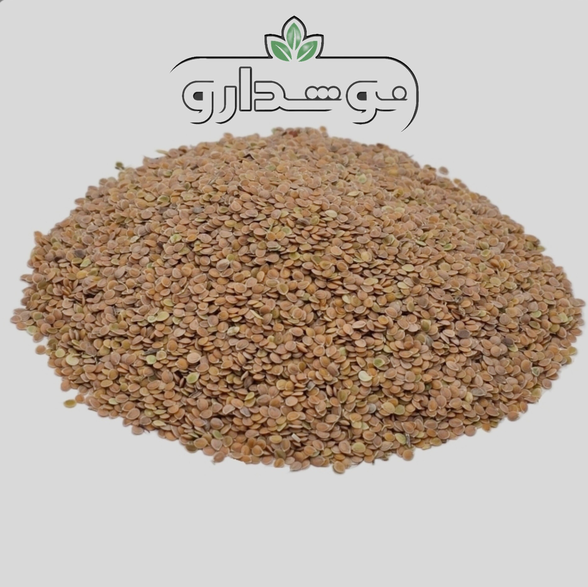 قدامه شیرازی (قدومه شیرازی یا قدومه دختری) 10 گرمی (پسکرایه)