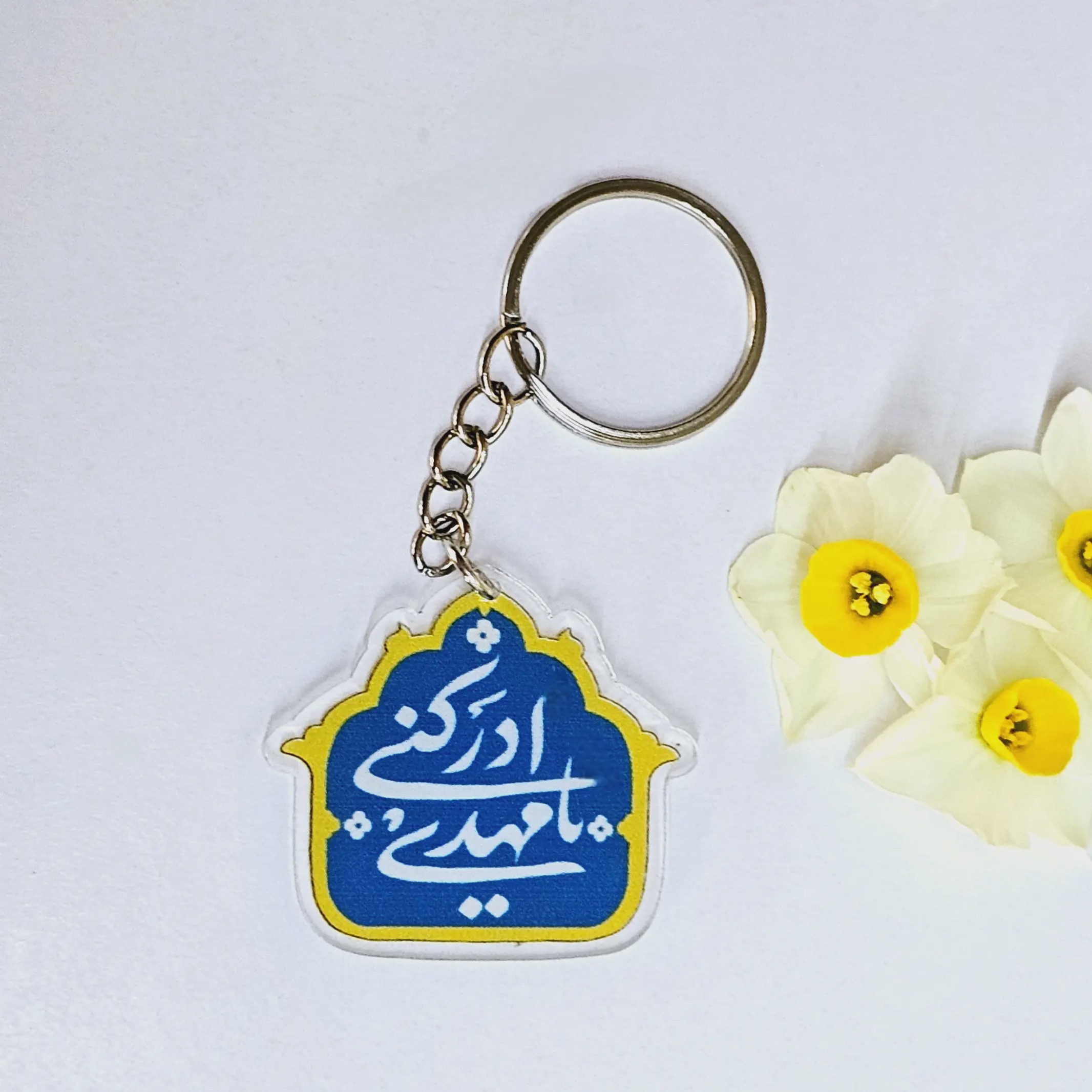جاسوییچی پلکسی طرح یا مهدی ادرکنی