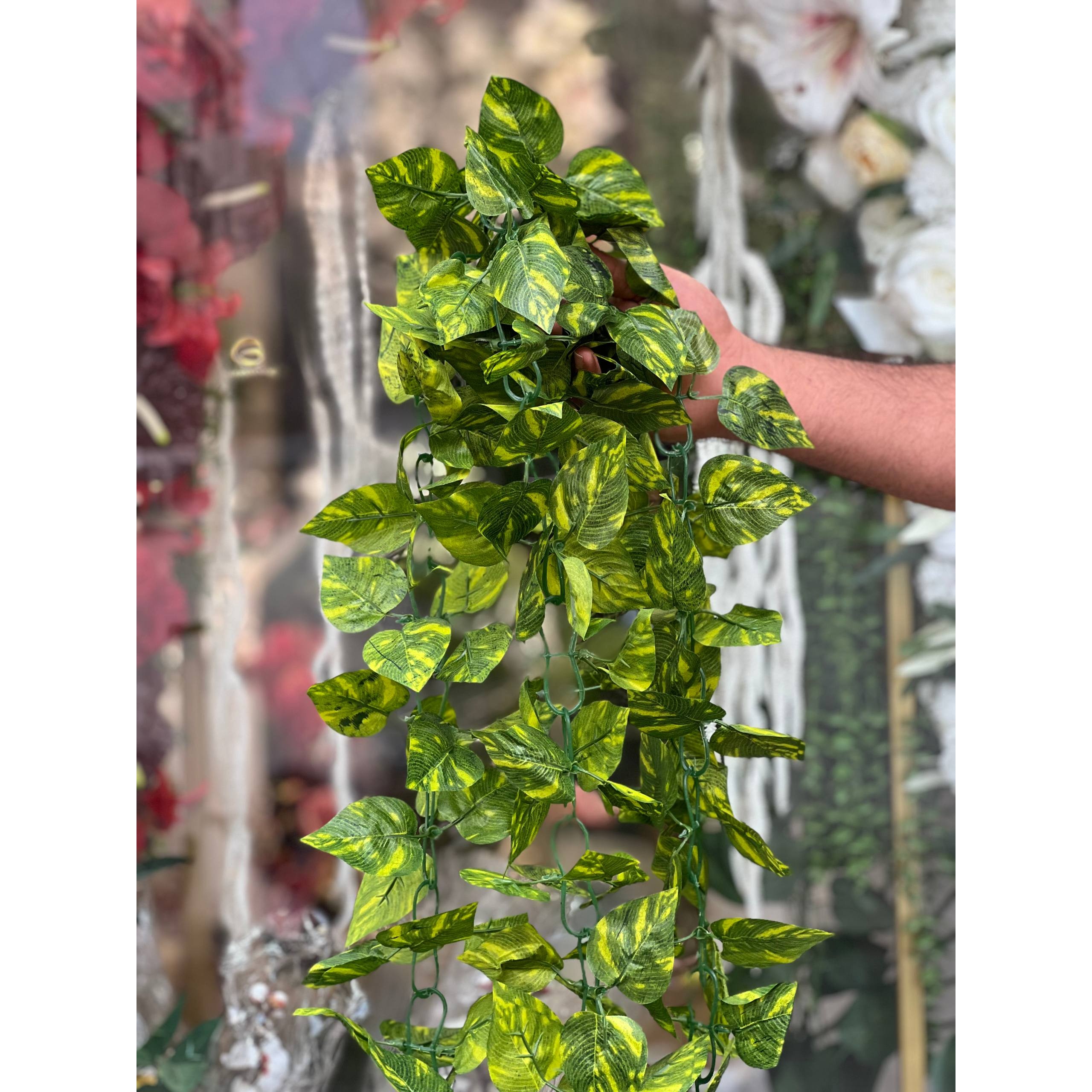آویز برگ پتوس سبز 220 سانتی(ریسه پتوس ابلق)