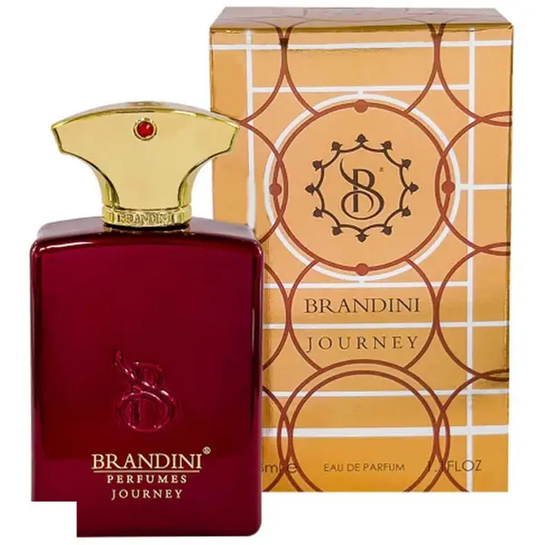 عطر ادوپرفیوم مردانه برندینی جورنی حجم 33 میلی لیتر