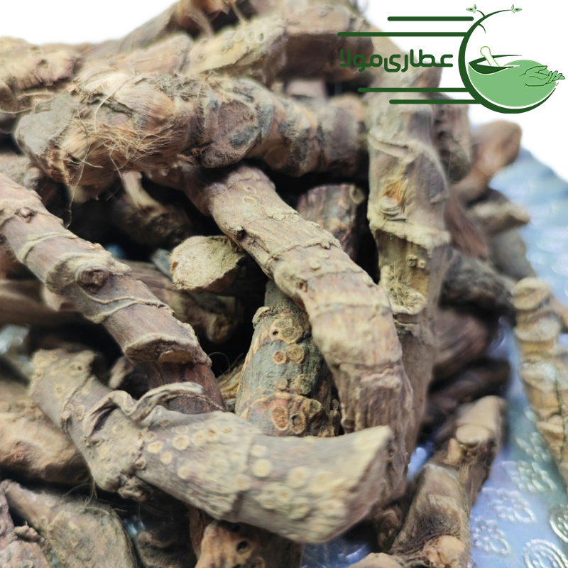 اگیر ترکی ، وج