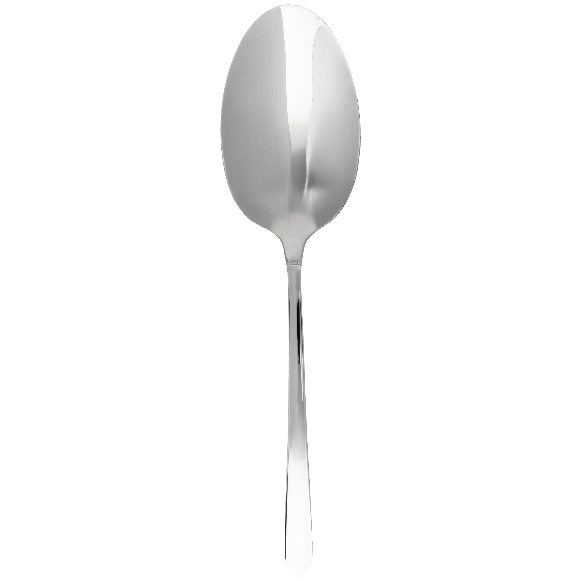 کفگیر بزرگ استیل کد DF005 ام جی اس | MGS