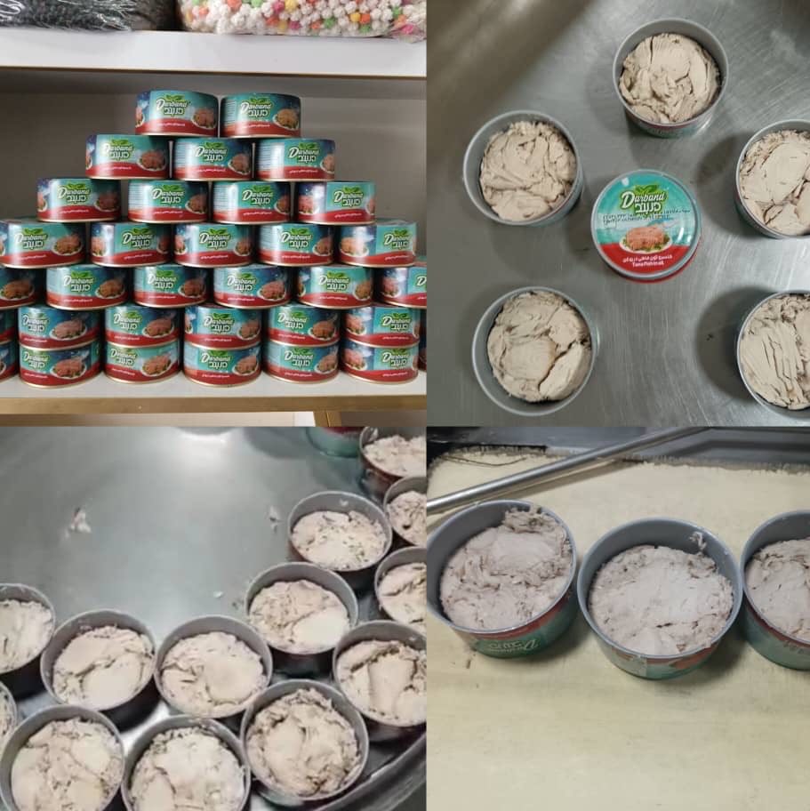 کنسرو ماهی جنوب دربند180گرم آسان بازشو بسته12عددی ارسال رایگان