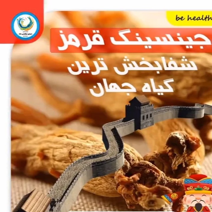 جینسینگ سفید کره ای تازه و مرغوب جینسینگ ممتاز پک نیم کیلویی