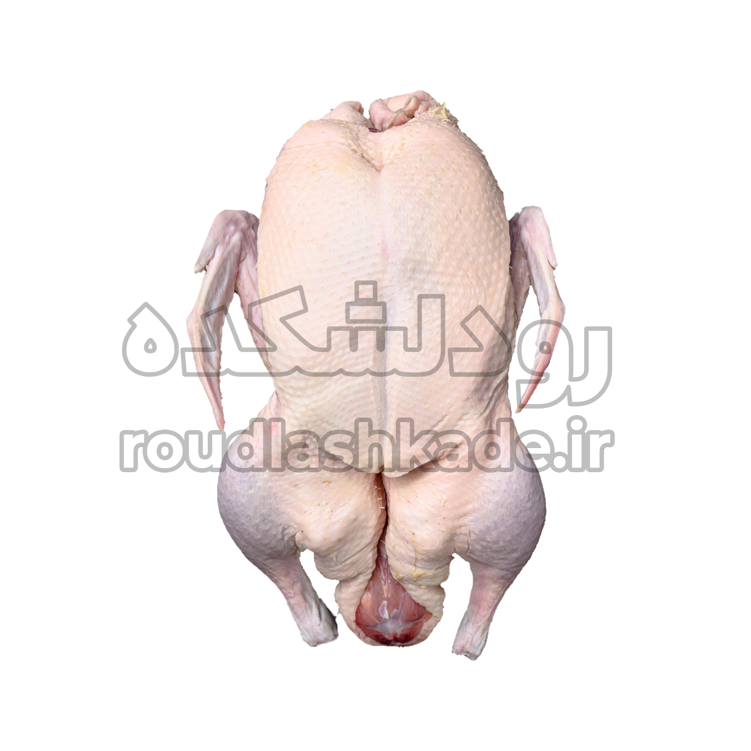 اردک محلی پرکنده