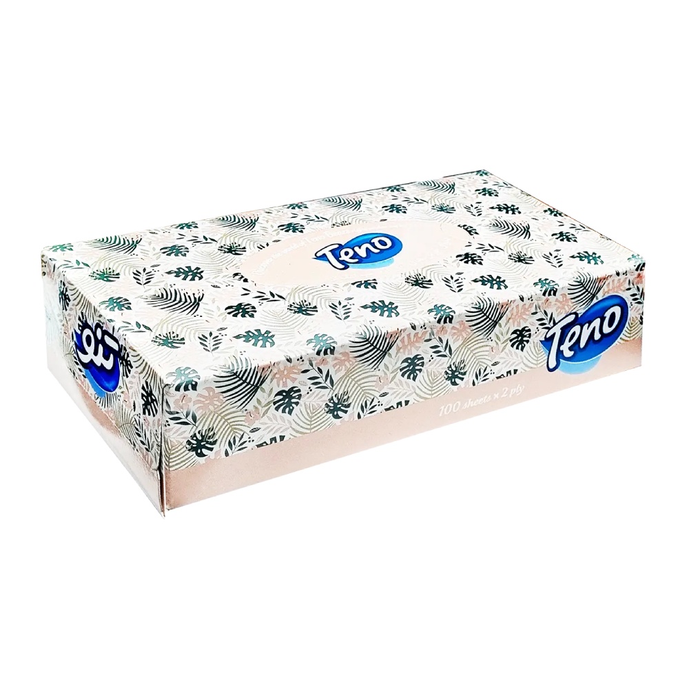 دستمال کاغذی دولایه تنو Teno بسته بندی جعبه ای بسته 100 عددی مدل 1