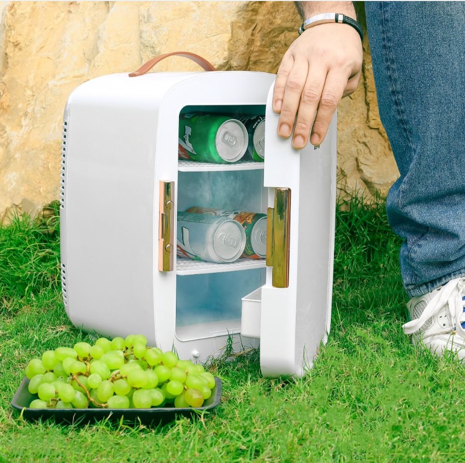 یخچال مسافرتی جیپاس مدل GRF63052 ظرفیت 10 لیتر