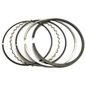 رینگ موتور 25 تیپ 5 رومانی RYTON D4 *