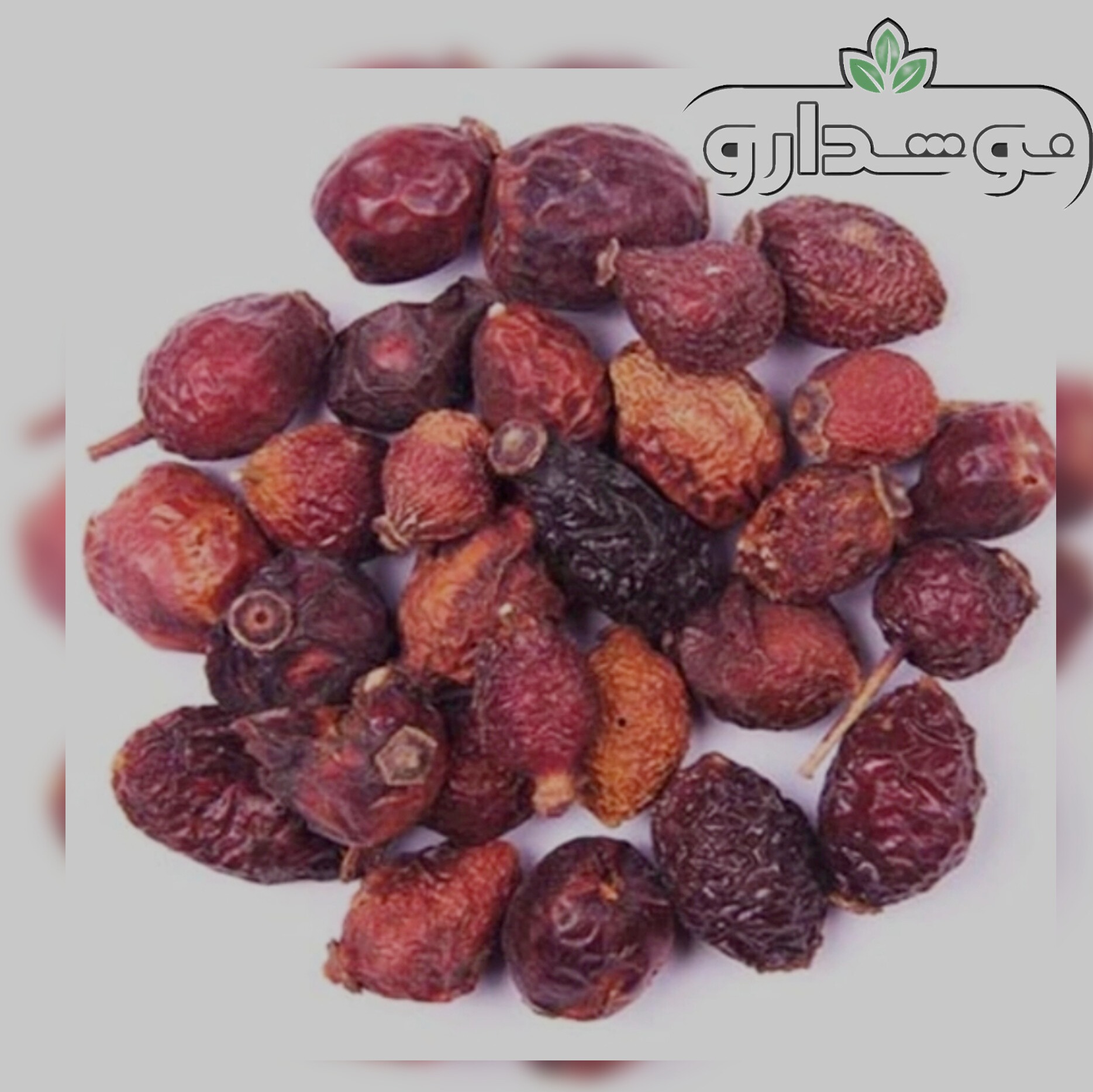 میوه نسترن 1 کیلویی (پسکرایه)
