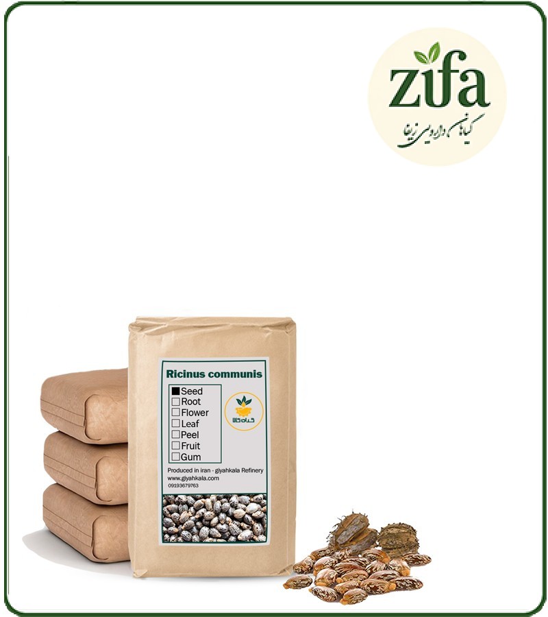 دانه کرچک خشک فله