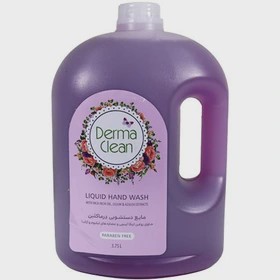 مایع دستشویی درماکلین شفاف روغن اینکا اینچی و عصاره لیلیوم 3.75 لیتری(101330029)