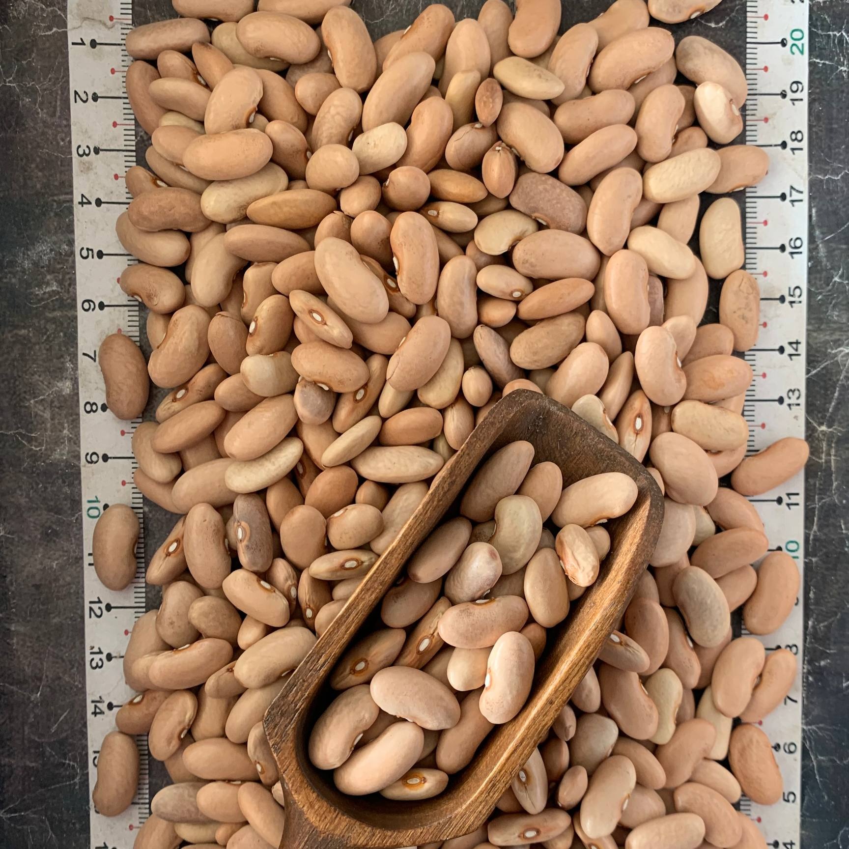 لوبیا رشتی دستچین گیتی