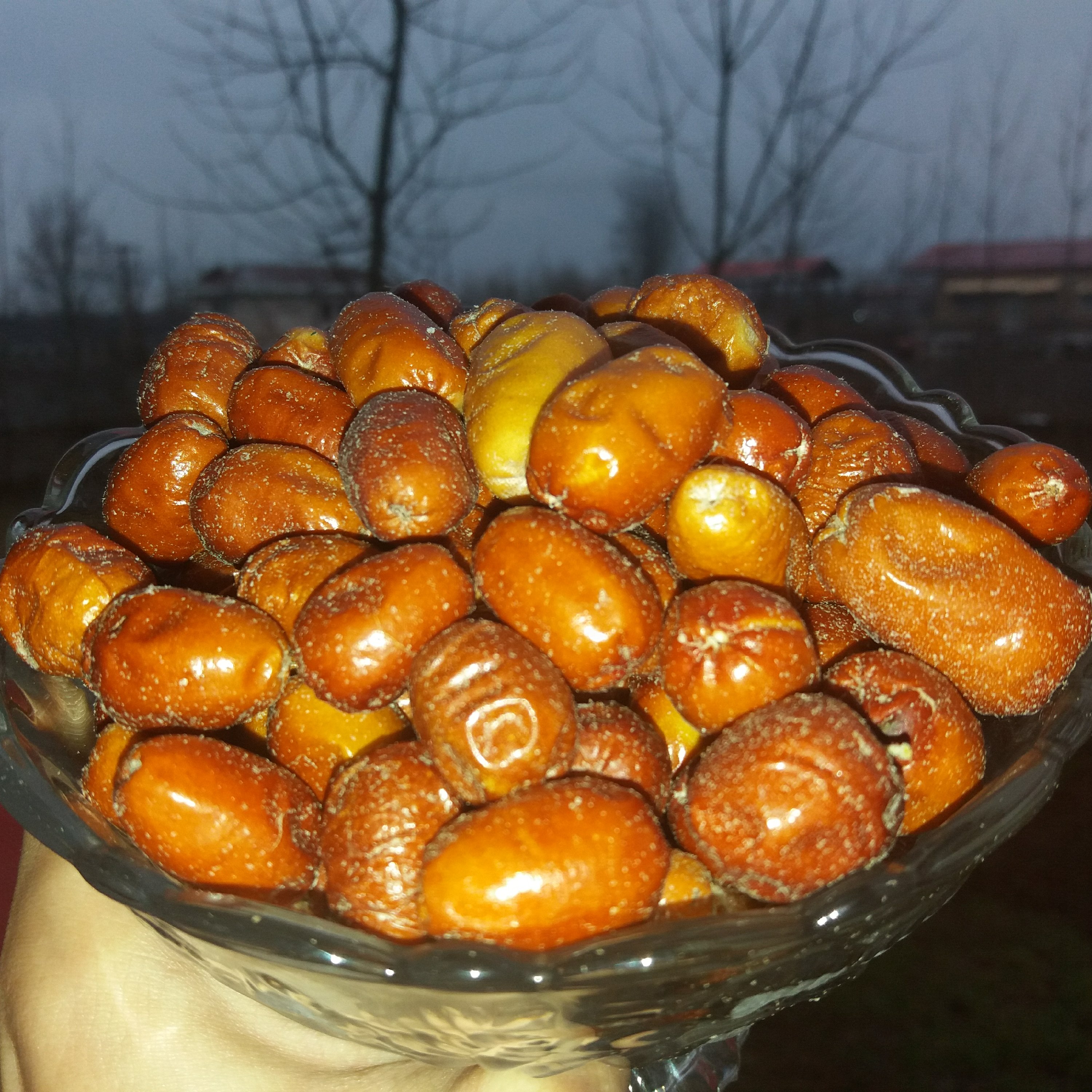سنجد گوشتی خراسان (250گرم) فیدنو