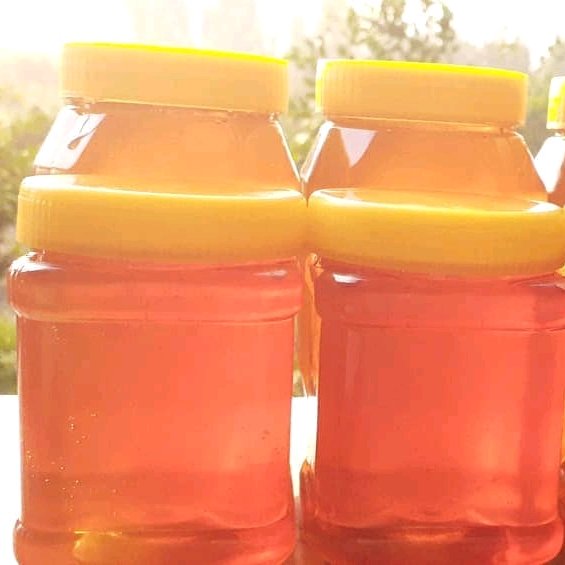 عسل طبیعی خار شتر طبیعی و طعمی بی نظیر در بسته بندی های 1000 گرمی 