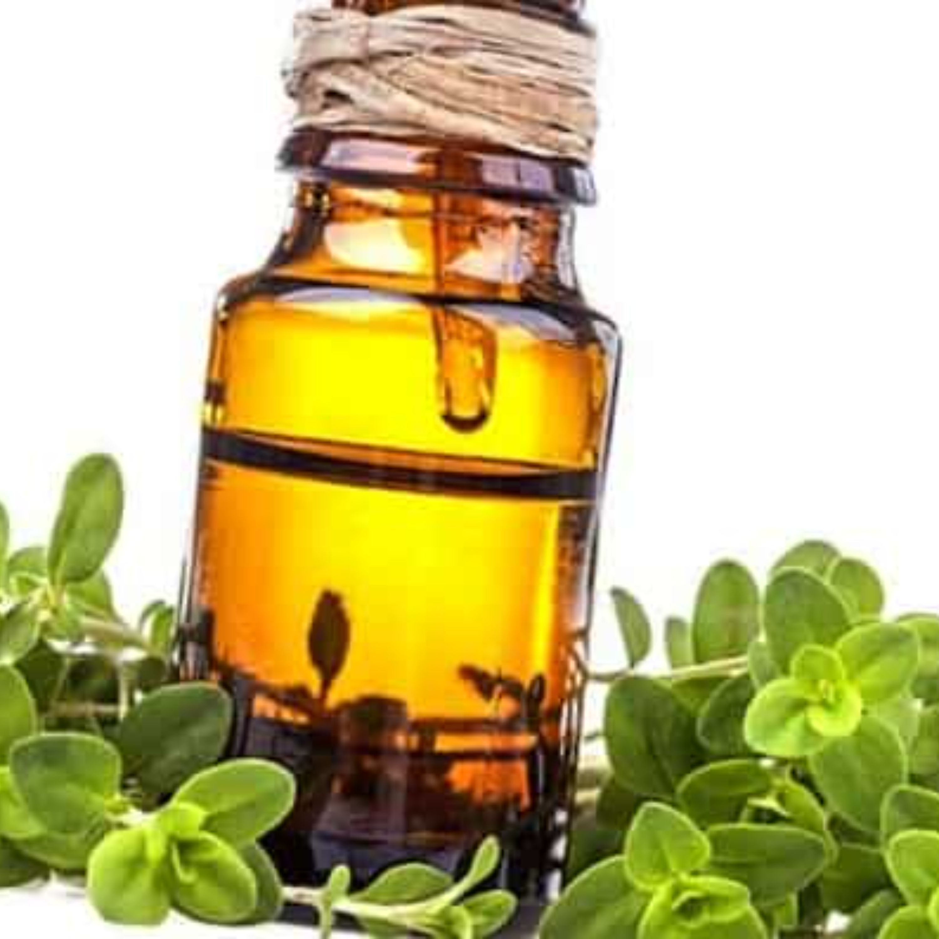 روغن مرزنجوش 65 میلی لیتر