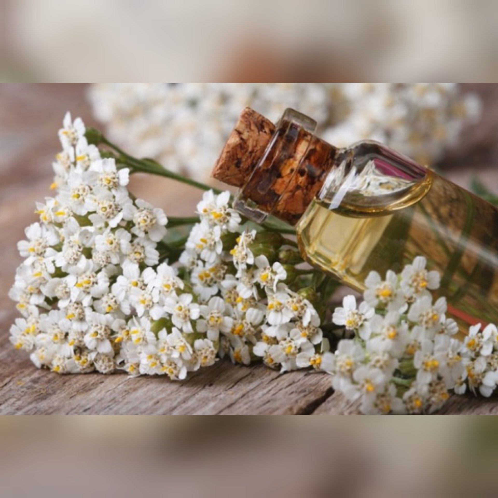 روغن بو مادران 30 سی سی 