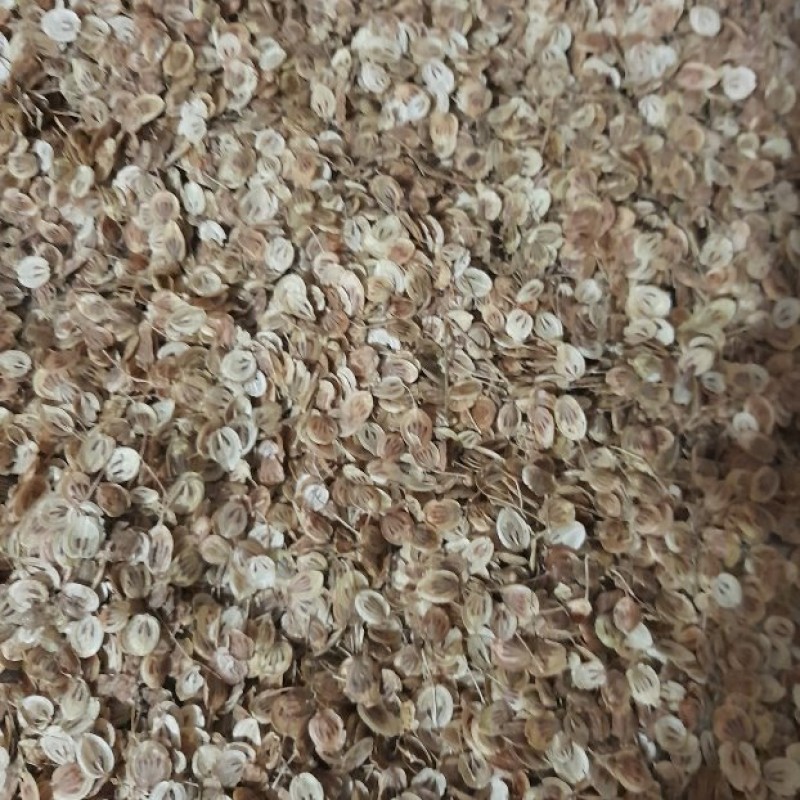 گلپر کوهی ارگانیک 200 گرمی