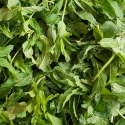 سبزی نعنا پاک شده وخوردشده بانو 