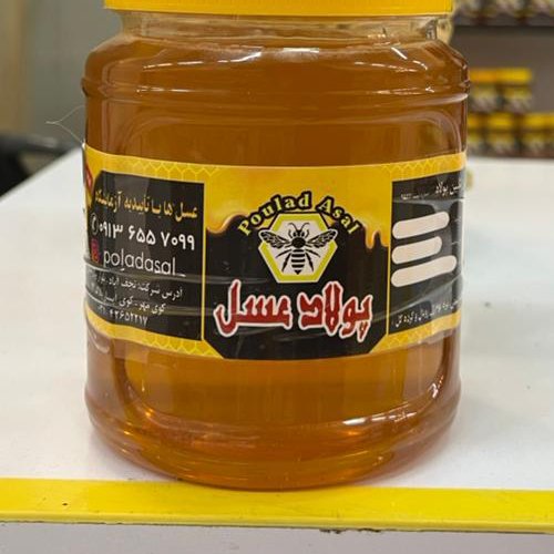 عسل گشنیز دیابتی پولادعسل 500 گرمی