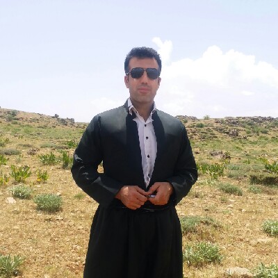 امید ویسی