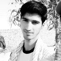 مهدی زندیه/ ارگانیک سهند