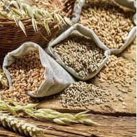 حسین قناعتی