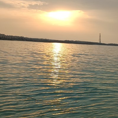 اقای حسینی