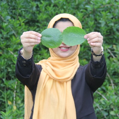 ریحانه روشنگرزاده