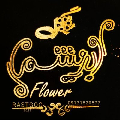 محمدحسین راستگو