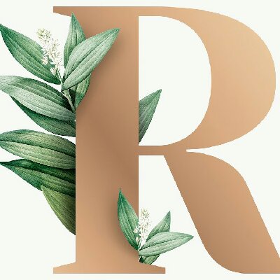 مویدی