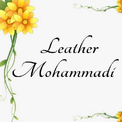 محمدی