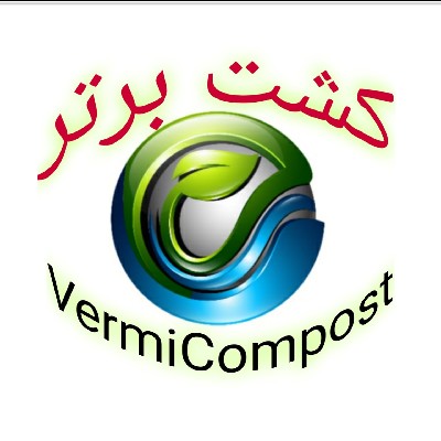 سید محمد قاضی میر سعید، نوروزی