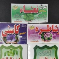 مهدی علیزاده