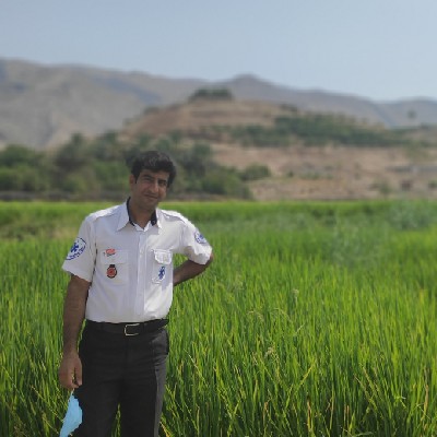 مجتبی تراهی